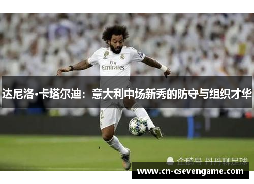 达尼洛·卡塔尔迪：意大利中场新秀的防守与组织才华