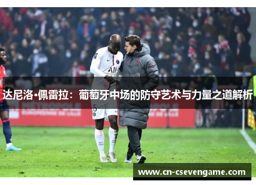 达尼洛·佩雷拉：葡萄牙中场的防守艺术与力量之道解析