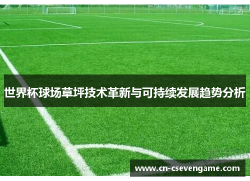 世界杯球场草坪技术革新与可持续发展趋势分析