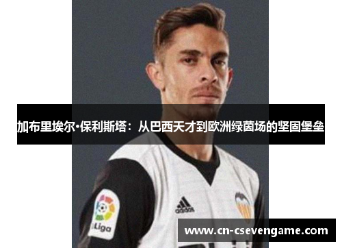 加布里埃尔·保利斯塔：从巴西天才到欧洲绿茵场的坚固堡垒