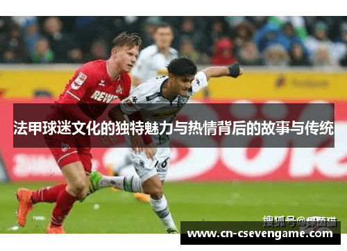 法甲球迷文化的独特魅力与热情背后的故事与传统