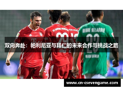 双向奔赴：帕利尼亚与拜仁的未来合作与挑战之路