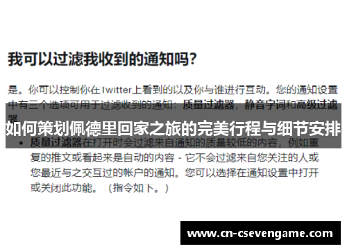 如何策划佩德里回家之旅的完美行程与细节安排