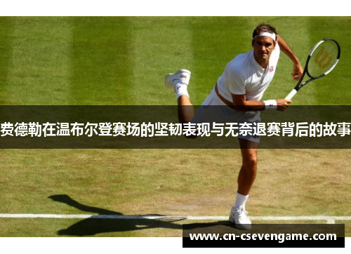 费德勒在温布尔登赛场的坚韧表现与无奈退赛背后的故事
