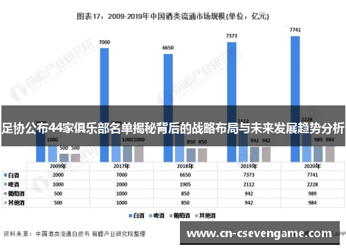 足协公布44家俱乐部名单揭秘背后的战略布局与未来发展趋势分析