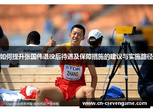 如何提升张国伟退役后待遇及保障措施的建议与实施路径