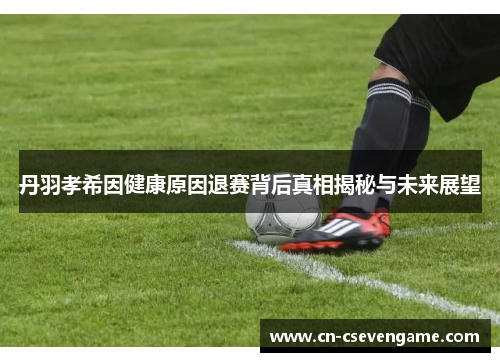 丹羽孝希因健康原因退赛背后真相揭秘与未来展望